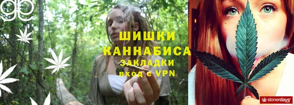 дурь Алзамай