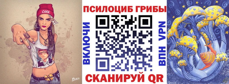 где купить наркотик  Чаплыгин  mega как зайти  Галлюциногенные грибы мицелий 