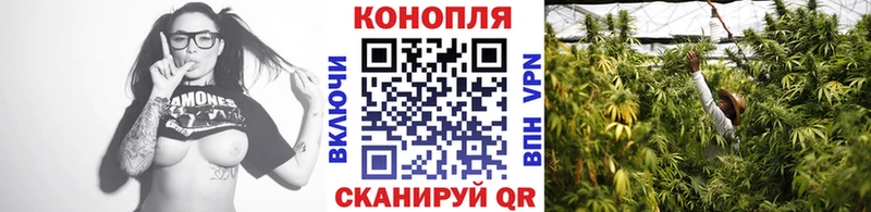сколько стоит  Чаплыгин  Бошки Шишки план 